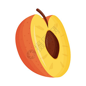 合川桃片白色背景上半橙桃 平面矢量图示水果叶子果味食物甜点卡通片饮食绘画横幅果汁插画