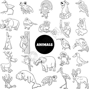 野生动物物种特字符组(一套)高清图片