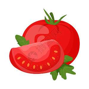 全切双眼皮白色背景上孤立的全番茄 平面矢量说明标识生态健康果汁横幅插图甜点蔬菜种子叶子插画