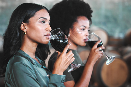 品酒活动中的奢华 热情好客和朋友 在葡萄园酒窖中一起畅饮并享受新体验 不同的女性在尝试和测试流行混合物的质量时建立联系背景