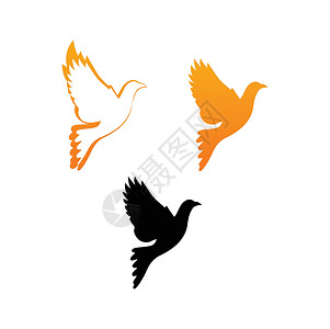鸽鸟鸟类翅膀金子白色插图黑色橙子鸽子自由背景图片