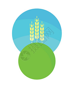 绿色大麦农场标签与贝利田地插画