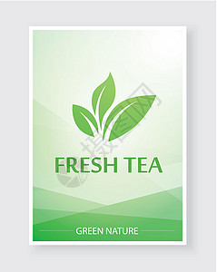 茶叶绿茶海报茶叶和热饮的创用菜单以自然绿色颜色制作-餐饮或咖啡馆的矢量美丽菜单插画