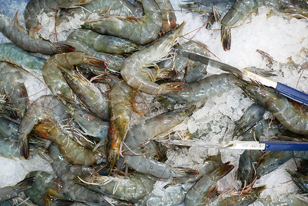 桌边有生的海虾海鲜桌子砧板红色食物盘子生食高清图片