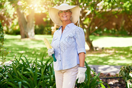 花园皇后 一个快乐的老妇人的肖像 享受着一点园艺背景图片