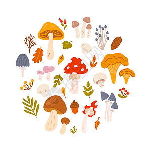 鹅在淋雨圆圈里有浆果和树叶的一组不同的蘑菇 在白色背景上手工绘制矢量平板插图样式设计图片