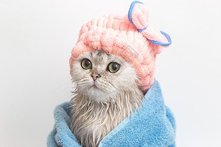 洗完澡后 用蓝色毛巾包在头上的粉红色大衣帽上高清图片