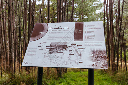 村指示牌澳大利亚维多利亚州Cambarville历史村薄雾植被衬套假期缠绕机械蕨类指示牌森林旅行背景