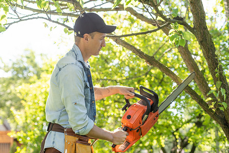 一个带电锯的男人 从旧树上拔除园圃中的植物 收获木柴木头蓝领头盔樵夫力量森林安全工具木工人危险背景