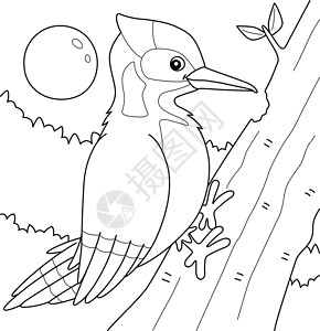 Woodpecker 鸟类动物儿童彩色页面吸汁者染色木头绘画填色插图孩子们图画书小粒彩页插画