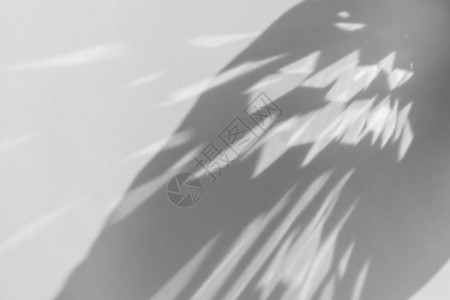 白色墙壁上的阴影和光折射叠加照片效果 太阳光线通过玻璃和棱镜折射 焦散效果模糊 空白表面上的自然光折射轮廓产品海浪屏幕反射液体阳背景图片