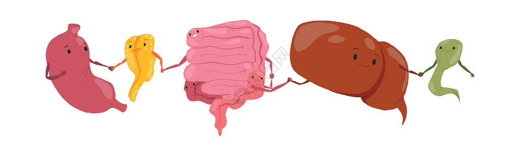 子宫体癌将人类五器官设置在白色背景上的可爱卡通矢量人类五器官插画