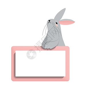2023年符号可爱的性格 白底兔子以不同姿势被孤立在白色背景兔子上剪贴插图野兔卡通片动物卡片八字吉祥物问候语十二生肖背景图片