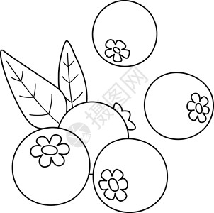 涂色素材水果蓝莓水果儿童孤立彩色页面设计图片
