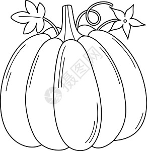 蜜本南瓜用于孩子的南瓜小板菜蔬菜独立彩色页面插画