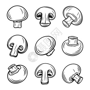 手绘蘑菇汤矢量手绘黑白单色香皮尼翁 配有大纲设置 卡通设计模板插画