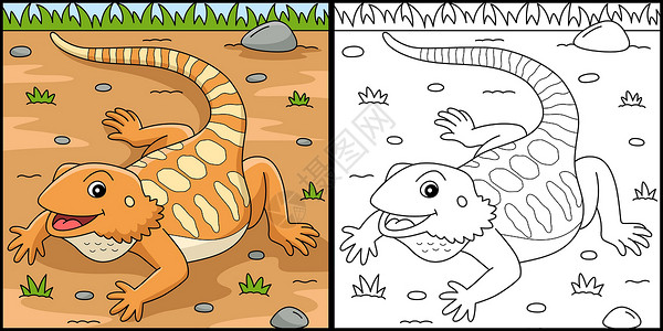 手绘蜥蜴胡须神龙动物彩色页面说明插画