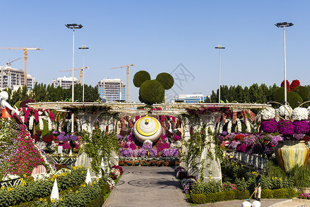 迪拜奇迹花园植物群酋长国高清图片