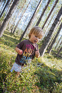 在森林里收集浆果的金发女宝宝孩子采摘农业乐趣女孩饮食收成树林快乐草莓背景图片