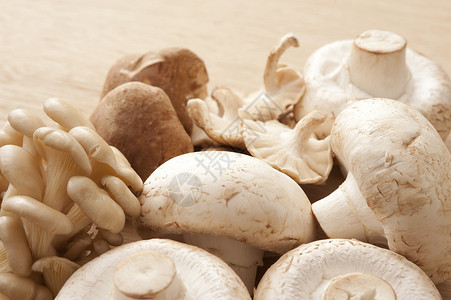新鲜全食用蘑菇的分类背景图片
