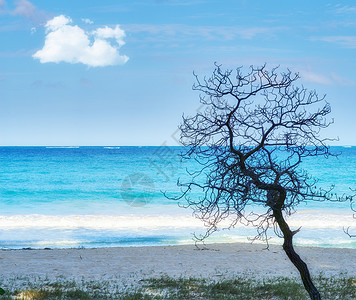 怀马纳洛海滩海景浪漫高清图片