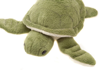 绿色乌龟玩具特写乌龟玩具的近端视图背景