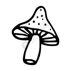 毒蝇鹅膏菌白色上隔离的蘑菇面粉矢量图形 药用成分设计图片