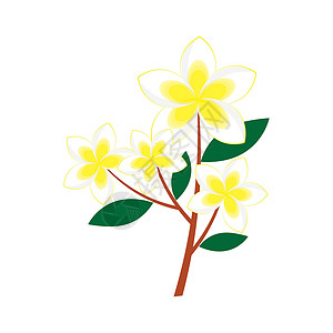 柬埔寨花朵图标模板插图黄色植物群标识植物温泉叶子背景图片