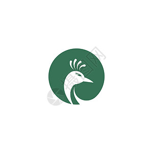 孔雀图标徽标设计羽毛野生动物情调标识翅膀异国尾巴动物背景图片