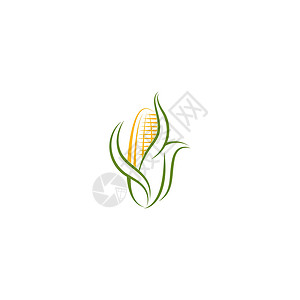 甜玉米图标标志设计团体谷物核心绿色粮食蔬菜农场叶子棒子食物背景图片