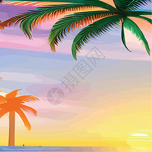 热带佛罗里达Web 与棕榈树的迈阿密海滩在日落 与晴朗的天空的热带风景 在海滩的棕榈树 手掌的轮廓旅行乐趣机构太阳动画片冲浪地平线假期城市插插画
