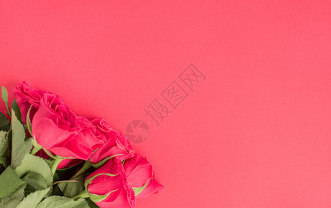边框玫瑰带有彩色背景花朵的边框框架浪漫艺术玫瑰作品卡片概念横幅创意邀请函庆典背景