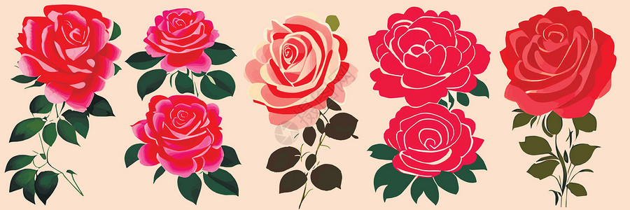 美丽的红玫瑰和叶子 花的成份 设计贺卡和请柬婚宴明信片花束植物群衣服花圈艺术婚礼针线活植物栗色背景图片