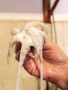 鱿鱼嘴在家准备和烹饪一种亚得里亚海切面鱼女士鱿鱼甲壳鱼钩生活方式家庭厨房生食福利营养背景