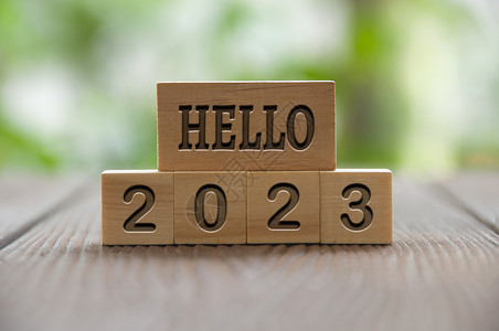 拾一月你好你好 2023年的文字刻在 公园背景模糊的木块上 新年的概念背景