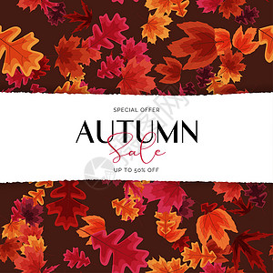 带有落叶的秋季销售海报 矢量一说明 EPS10季节树叶插图背景图片