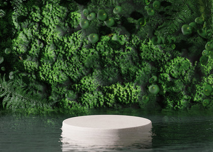 站在水中的讲台 背景是植物 美丽 自然的产品模型 化妆品展示 美容产品的基座或平台 空旷的场景 舞台 3D 渲染背景图片