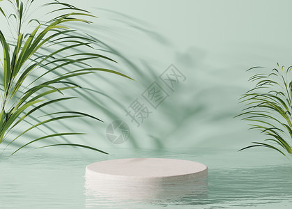 讲台站在水中 棕榈叶 浅绿色背景 产品 化妆品展示的漂亮模型 美容产品的基座或平台 空旷的场景 舞台 3D 渲染背景图片