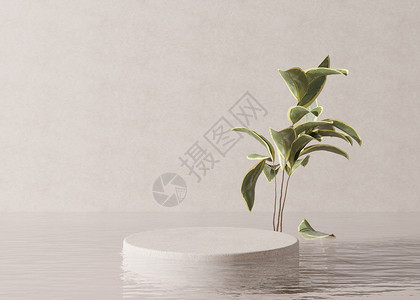 讲台站在水中 有植物 在奶油色背景上 产品 化妆品展示的漂亮模型 美容产品的基座或平台 空旷的场景 舞台 3D 渲染3d奢华推介背景图片