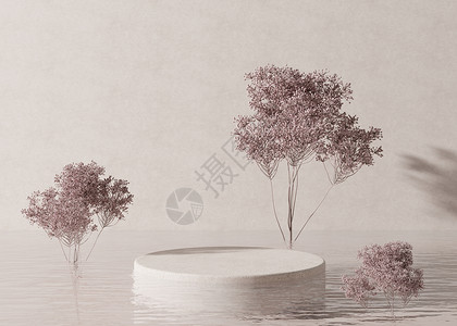 讲台站在水中 有植物 在奶油色背景上 产品 化妆品展示的漂亮模型 美容产品的基座或平台 空旷的场景 舞台 3D 渲染展览圆圈播客背景图片