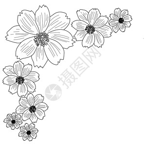 外观矢量鲜花插图 边角边框带花卉元素的边框 彩色页面设计图片