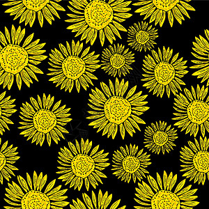 杨日葵向量插图日葵天花无缝模式 黑色背景的黄色花朵插画