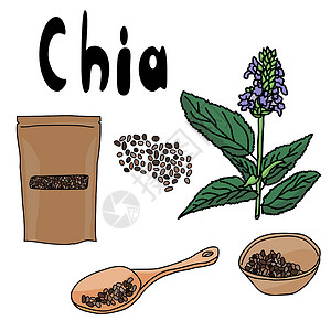 一勺子调味料超级食品 Chia 套装 勺子里的种子 碗里的种子 包装里的种子 开花植物 健康流行的抗氧化剂食品插画