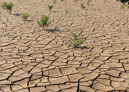 夏季干旱造成的土壤破解 沙季高清图片