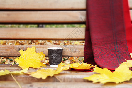 奇石配座素材秋天在市公园里用杯咖啡 围巾和干叶来配座背景