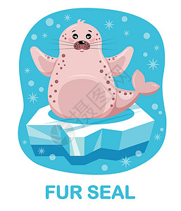 海豹皮卡通皮海豹 冰面上的海豹 蓝背景的蓝色背景插画
