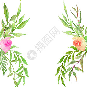 水彩玫瑰分割线水彩花框 在白色背景的文字中写有壁画 树叶和树枝框背景