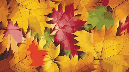 加拿大秋天不同的叶子矢量抽象背景 秋天的树叶作为平面设计 红色橙色黄色干燥的秋叶 花卉树叶矢量 9 月季节性背景白色水平植物传单艺术节日框插画