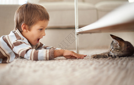 小男孩和猫一个小男孩躺在卧室的地板上 和一只小猫玩耍 他甚至比我还小背景