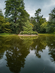 小绿岛公园小池塘上满是小花高清图片